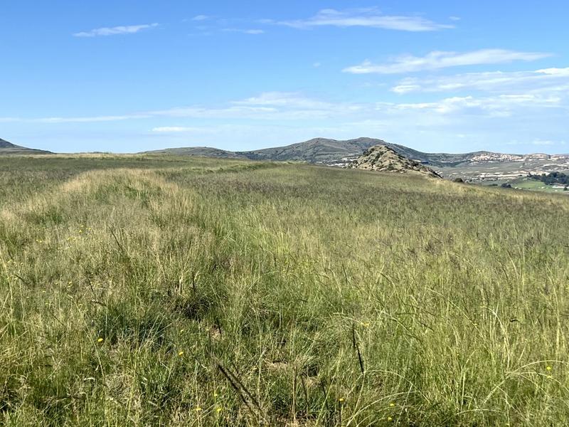 0 Bedroom Property for Sale in Fouriesburg Free State